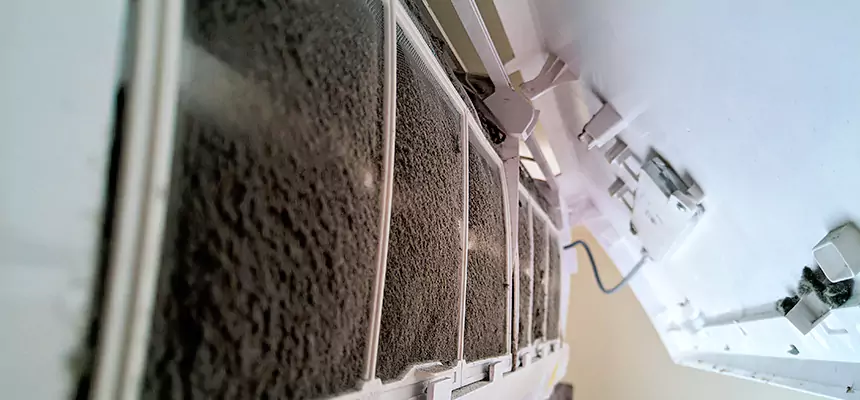 Preventive Air Duct Bacteria Removal in Suisun City