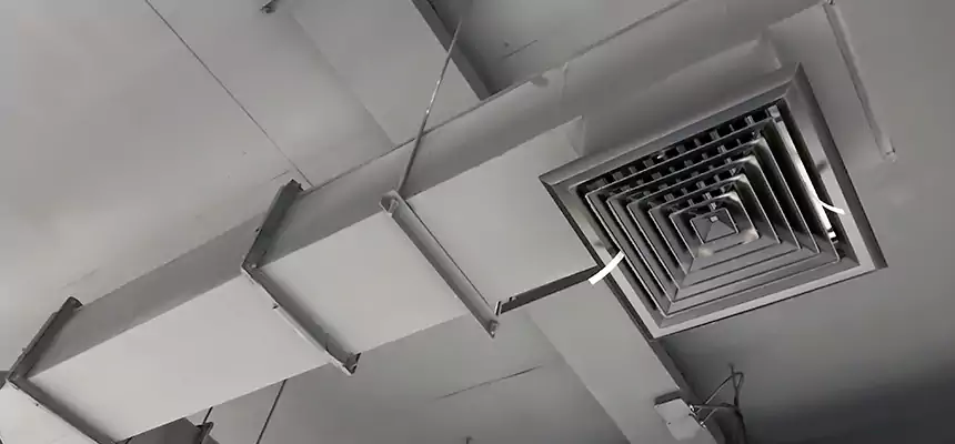 Our Rodent Droppings In Vents Services in Suisun City, CA