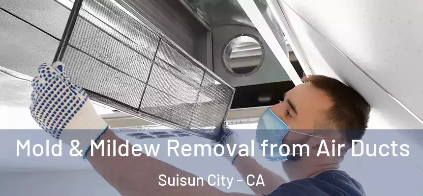  Mold & Mildew Removal from Air Ducts Suisun City - CA