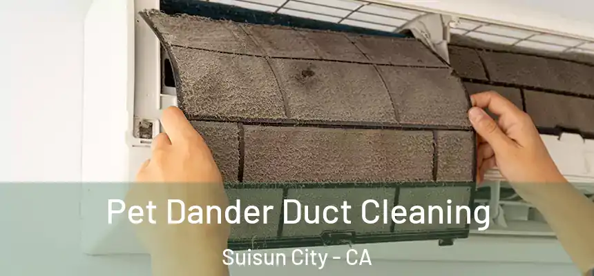 Pet Dander Duct Cleaning Suisun City - CA
