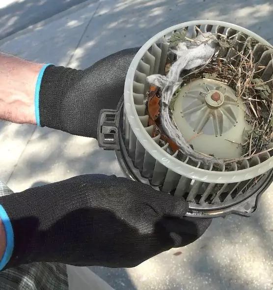 About Air Duct Mice Removal in Suisun City, CA