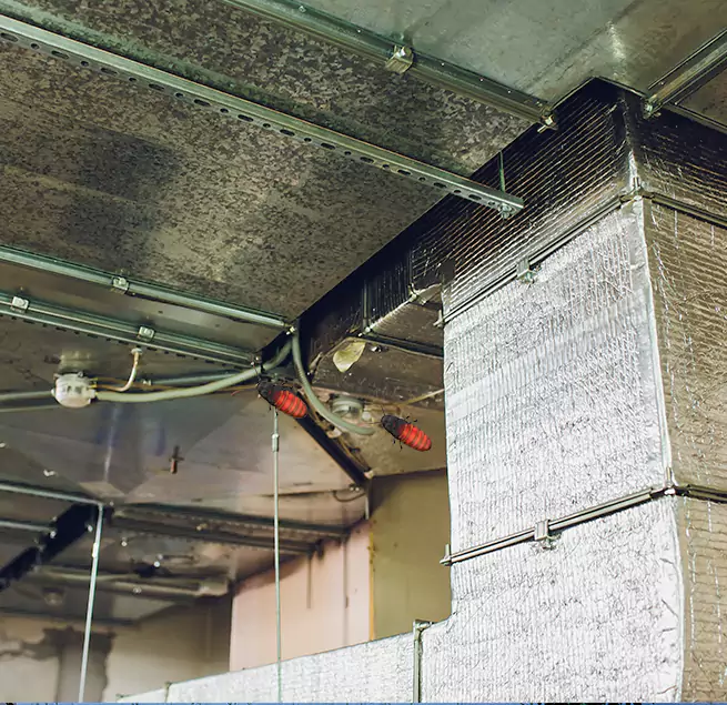 Why Homeowners & Businesses Trust Us in Suisun City, CA?