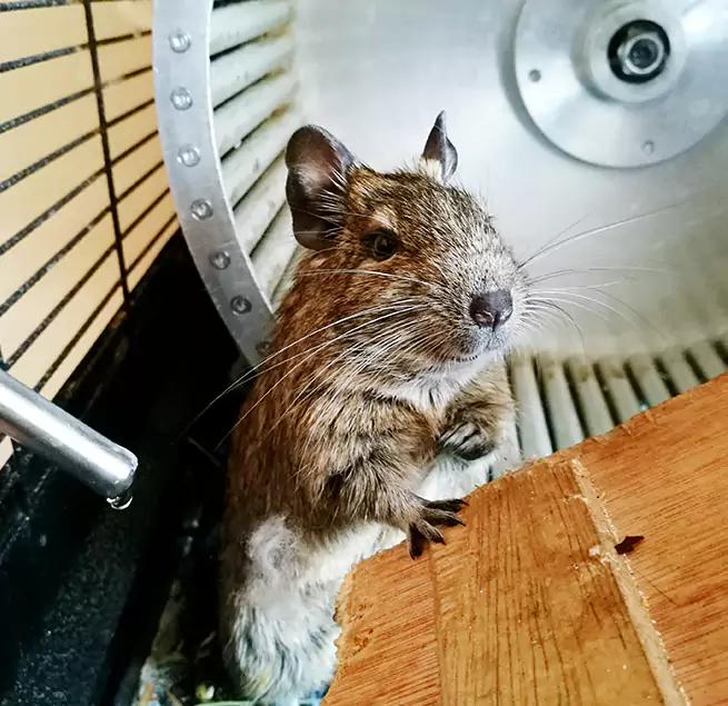 Why Homeowners & Businesses Trust Us Suisun City, CA